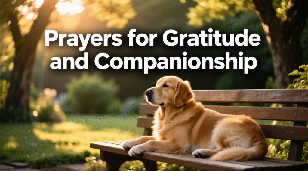 prayer for my dog
