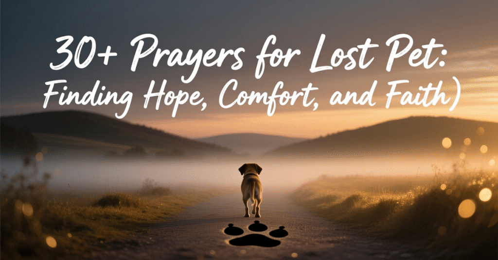 prayer for lost pet