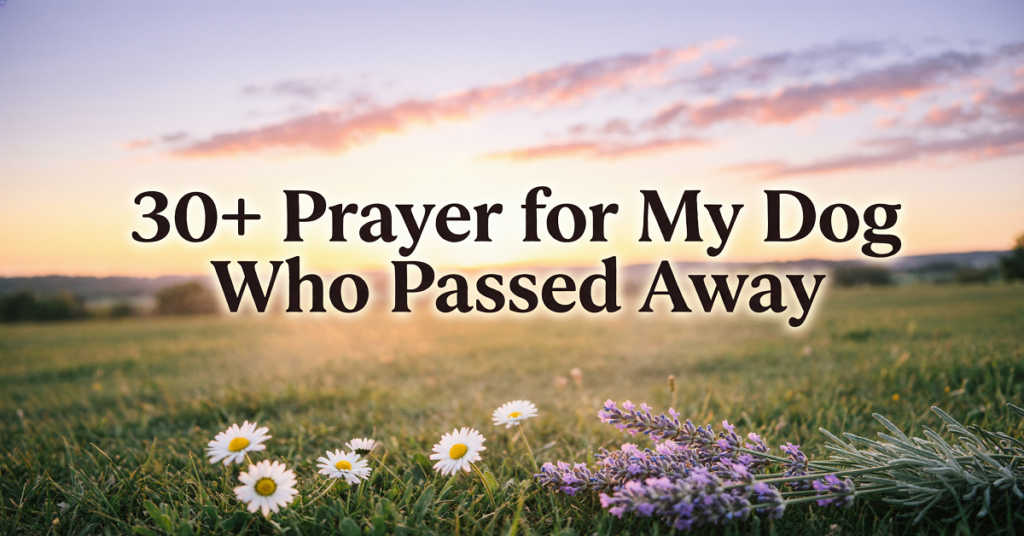 prayer for my dog who passed away