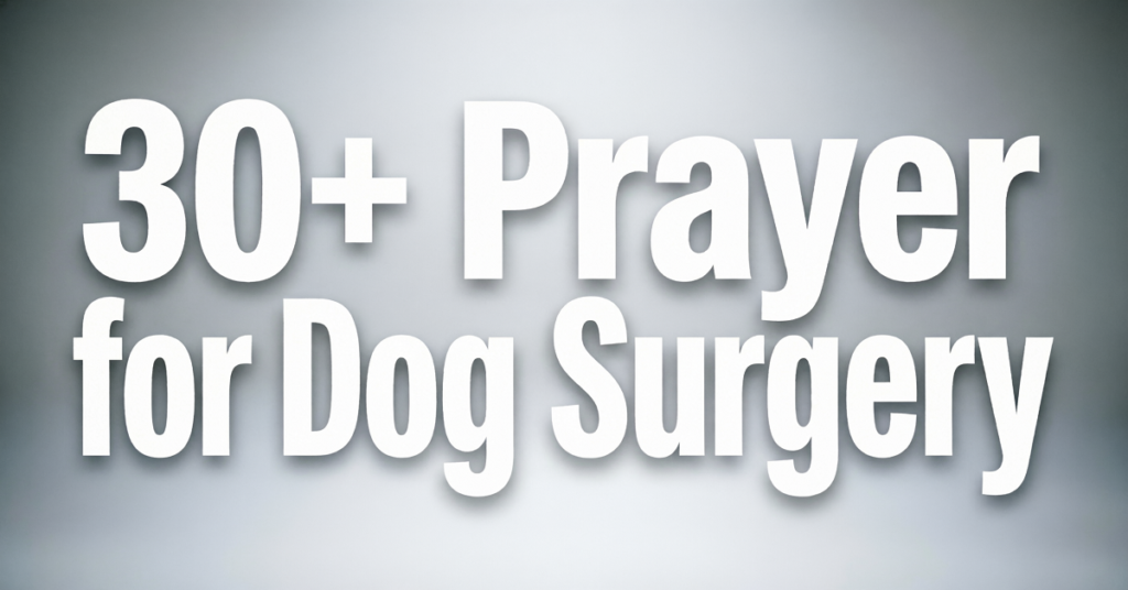 prayer for dog surgery